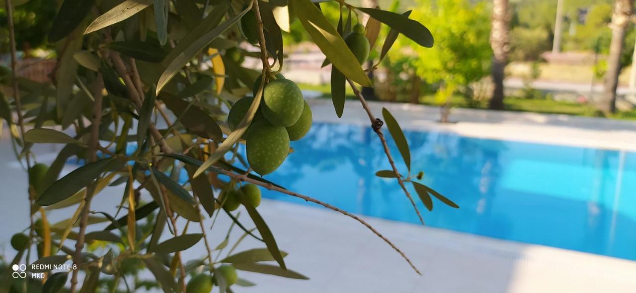 Green Garden Otel Кемер Экстерьер фото