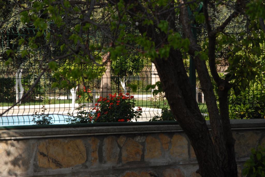 Green Garden Otel Кемер Экстерьер фото
